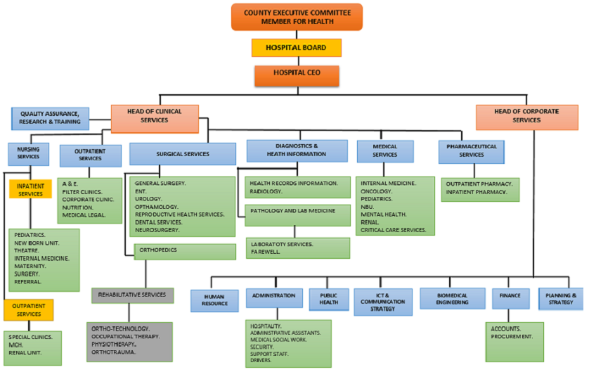 Organogram